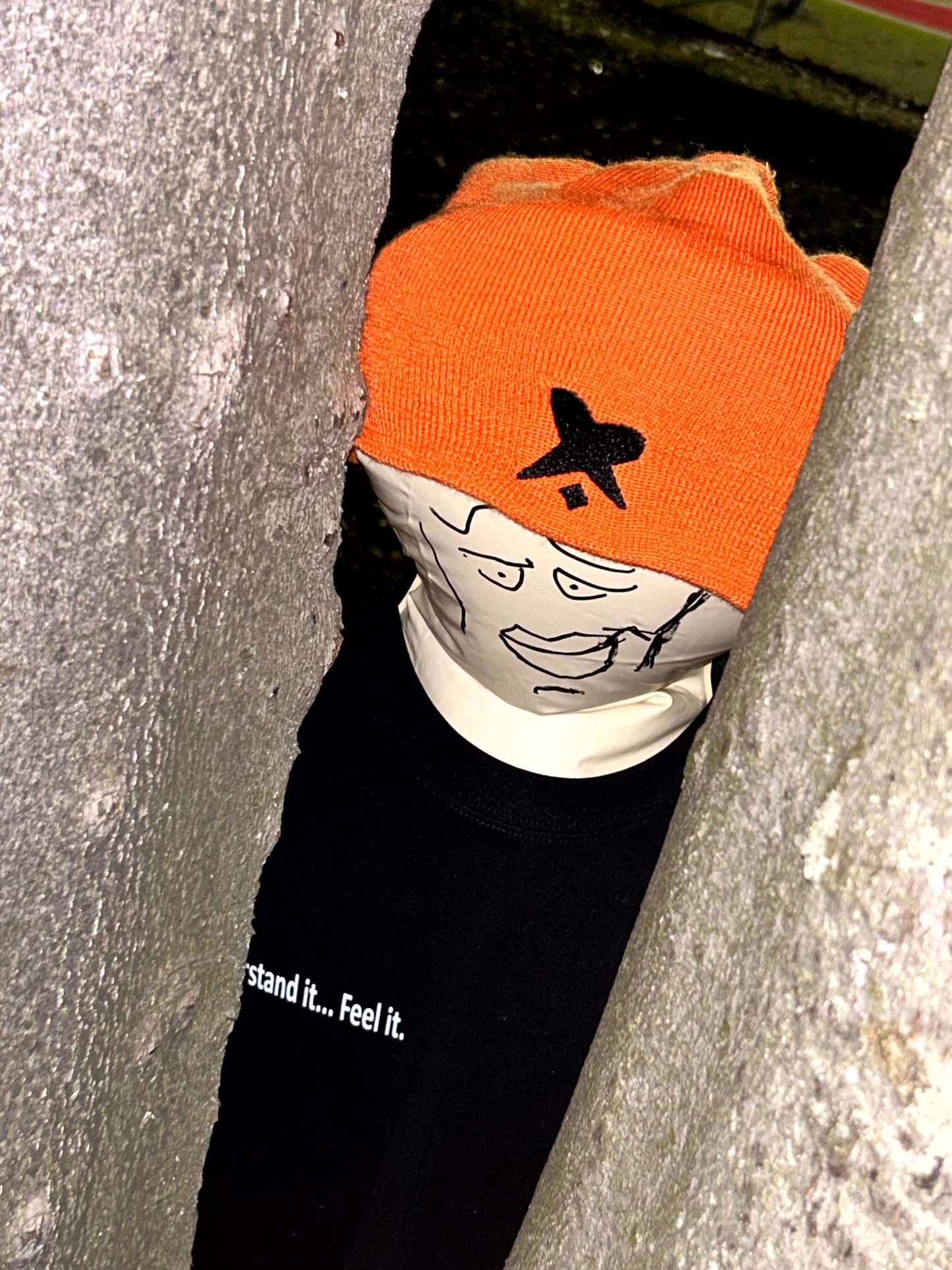 Ensemble Chandail + bonnet